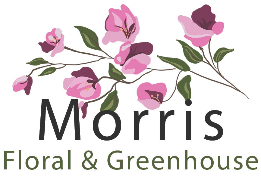 Morris Floral Morris Floral